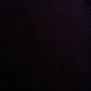 Meet your Posher, Lily